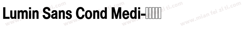 Lumin Sans Cond Medi字体转换